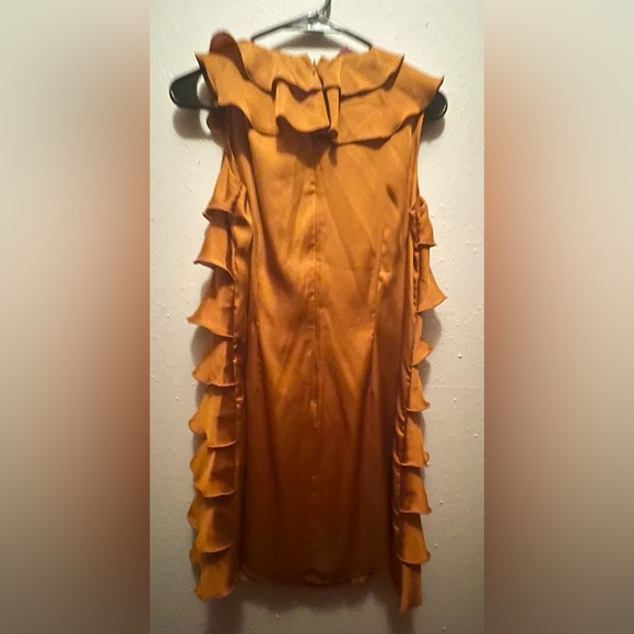 Ruffled, silky rust color dress. Size small. Never worn. NWT. Make an offer. - Picture 2 of 2